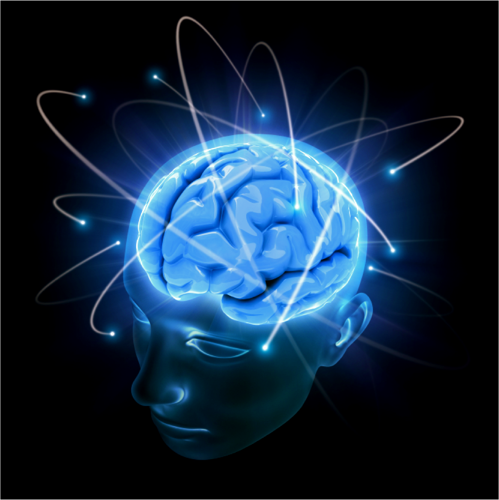 cerebro